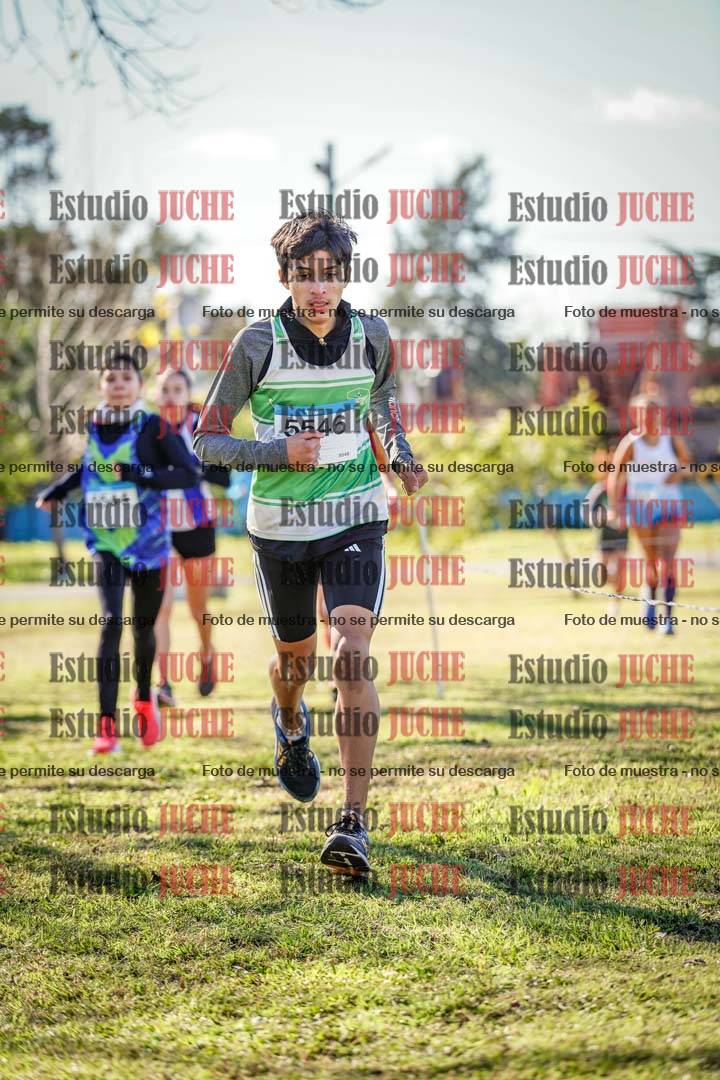 Fotos en el circuito