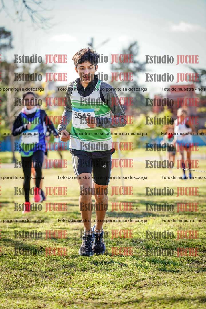 Fotos en el circuito