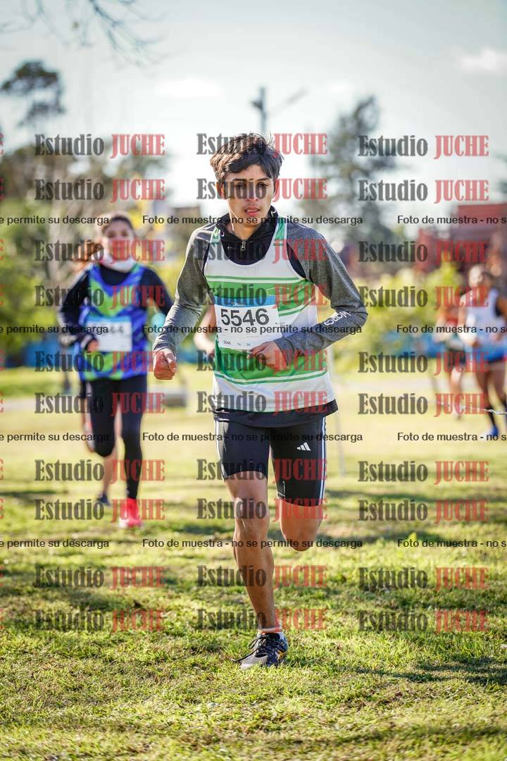 Fotos en el circuito