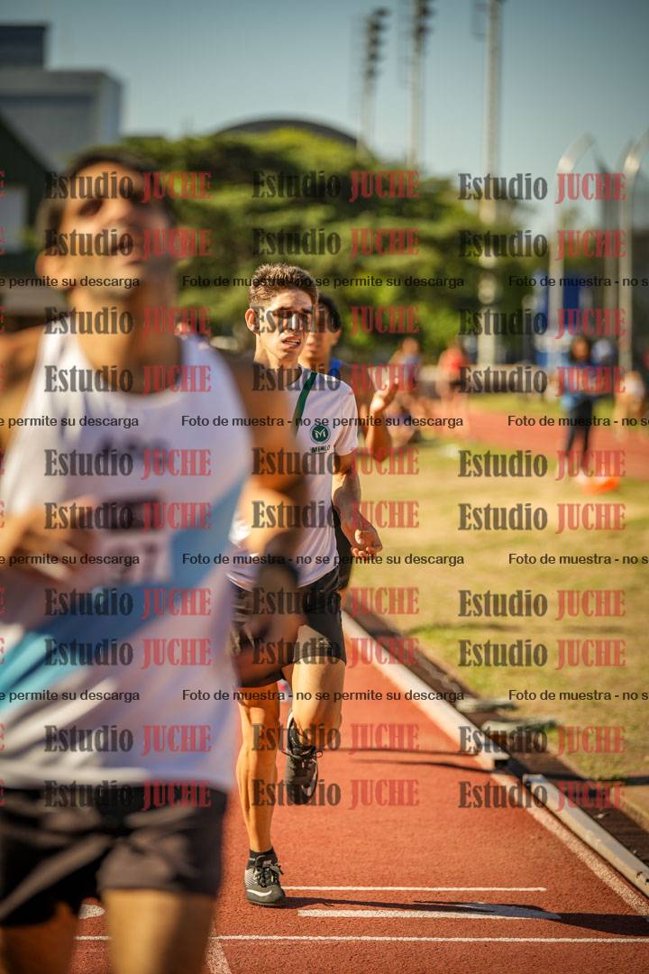 Fotos de los 800 m llanos de varones