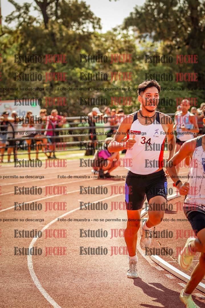 Fotos de los 800 m llanos de varones