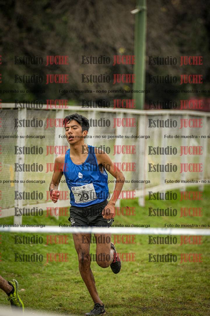 Fotos en el circuito