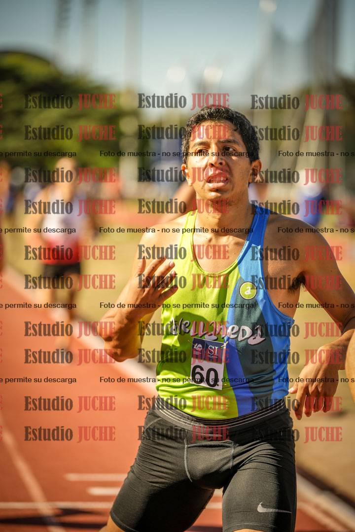 Fotos de los 800 m llanos de varones