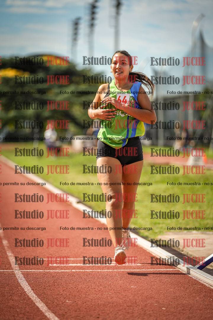 Fotos de los 800 m llanos de mujeres