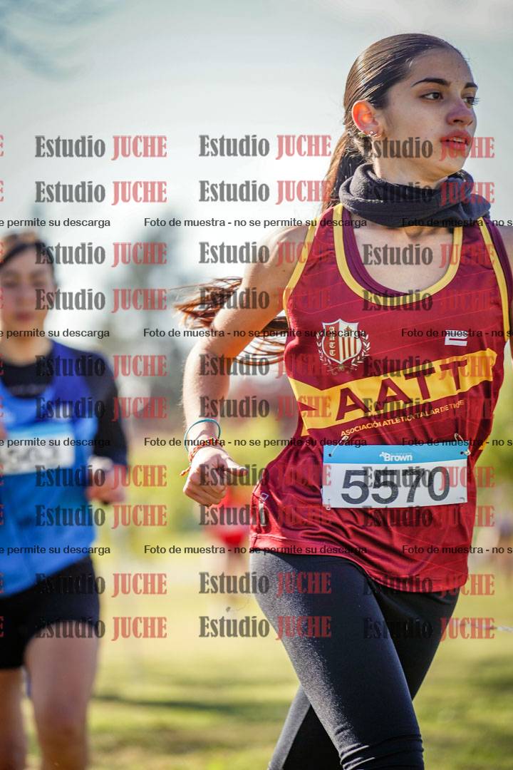 Fotos en el circuito
