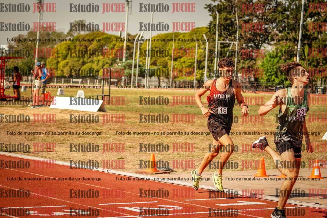 Fotos de los 800 m llanos de varones