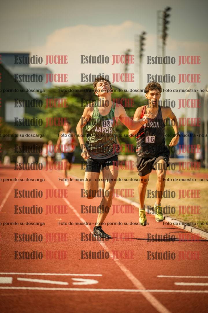 Fotos de los 800 m llanos de varones