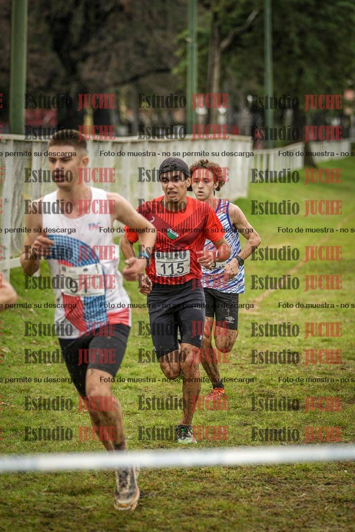 Fotos en el circuito