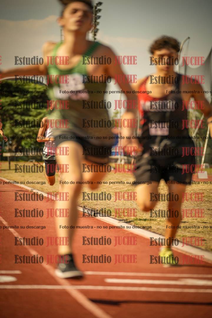 Fotos de los 800 m llanos de varones
