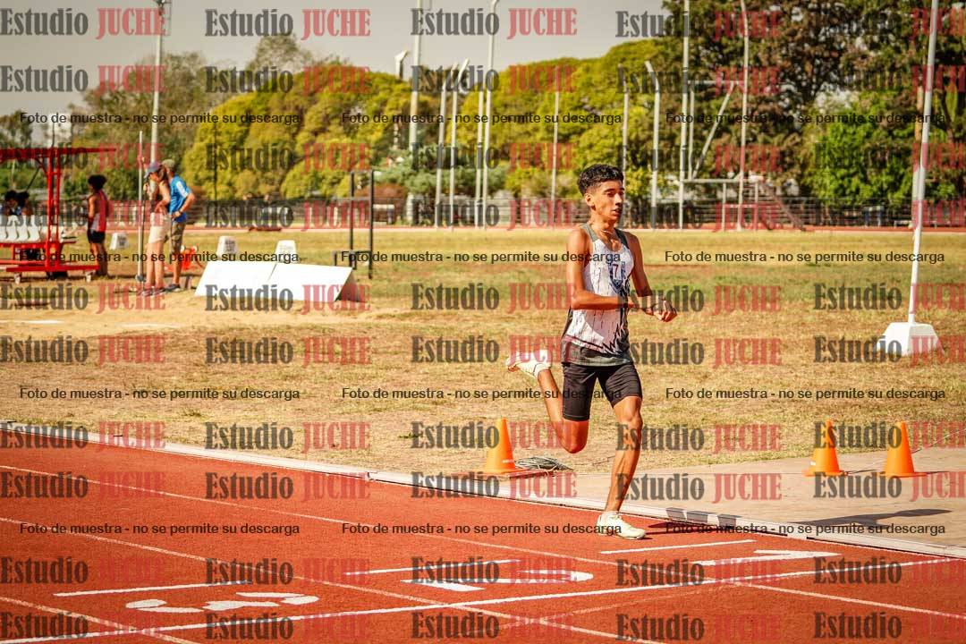 Fotos de los 800 m llanos de varones