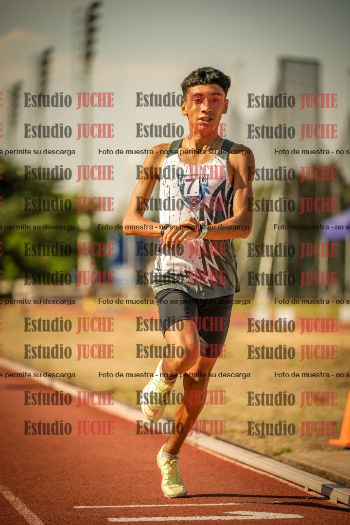Fotos de los 800 m llanos de varones