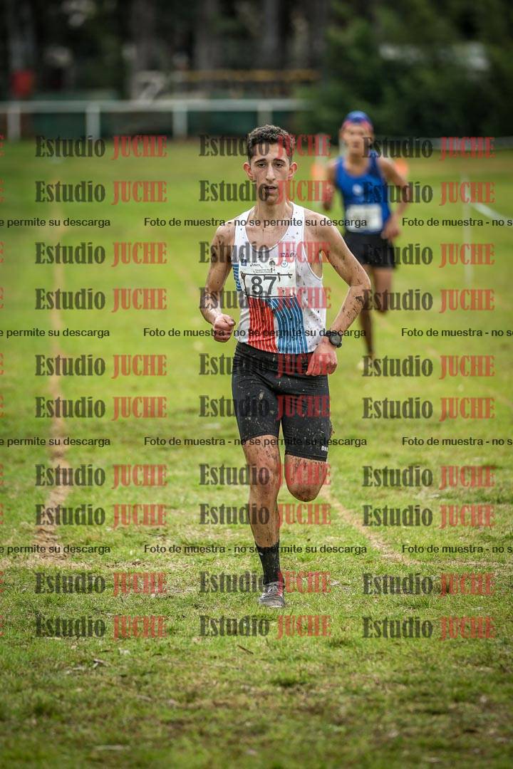 Fotos en el circuito