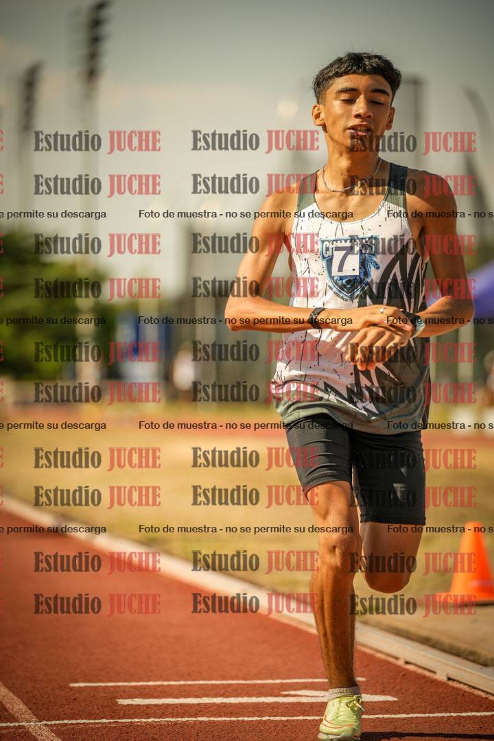 Fotos de los 800 m llanos de varones