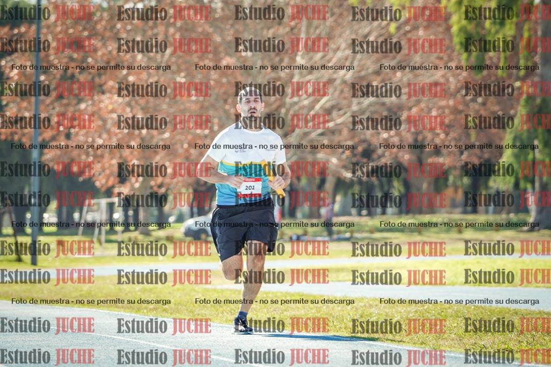 Fotos de las llegadas