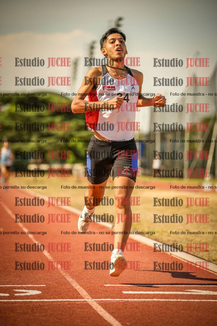 Fotos de los 800 m llanos de varones