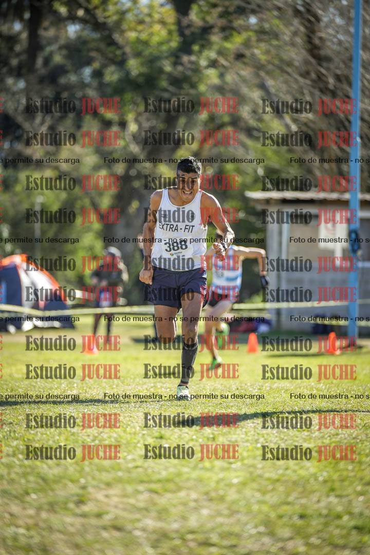 Fotos de la llegada del cross de 8000 m