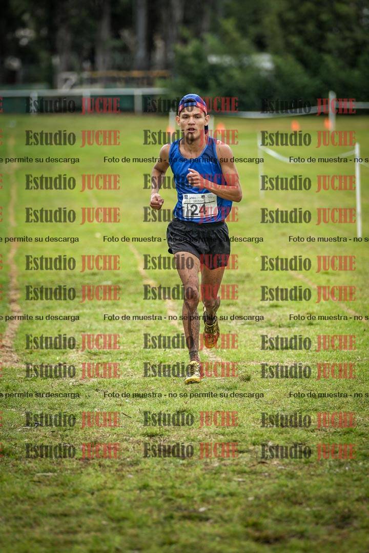Fotos en el circuito