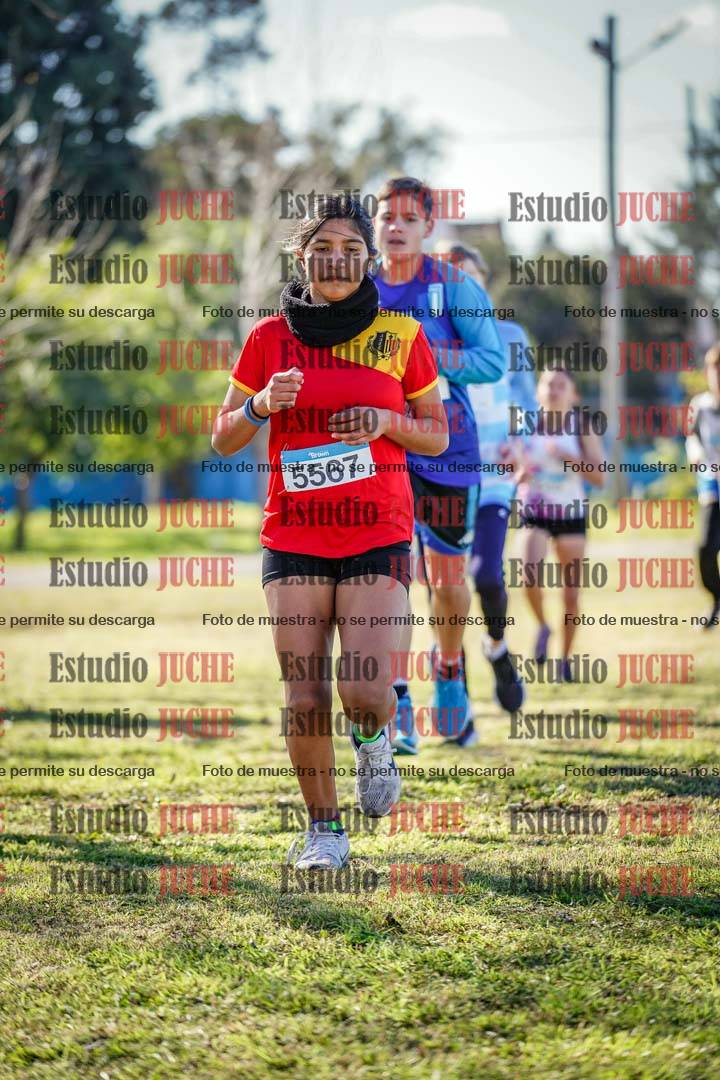 Fotos en el circuito