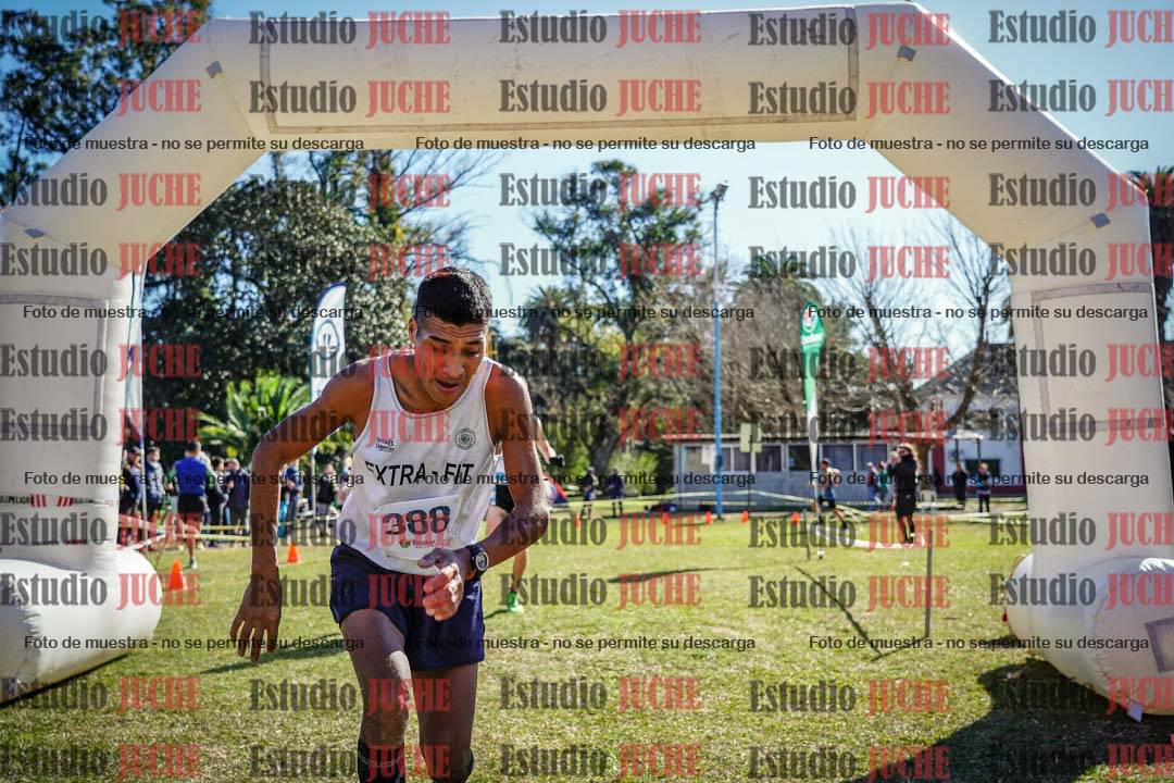 Fotos de la llegada del cross de 8000 m