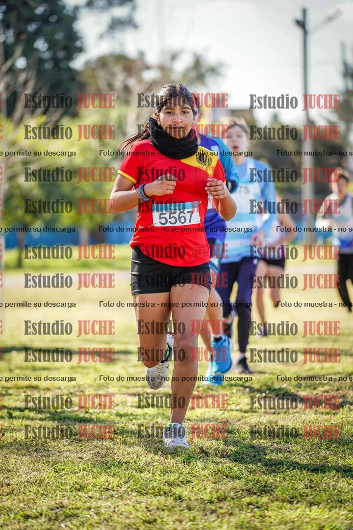 Fotos en el circuito