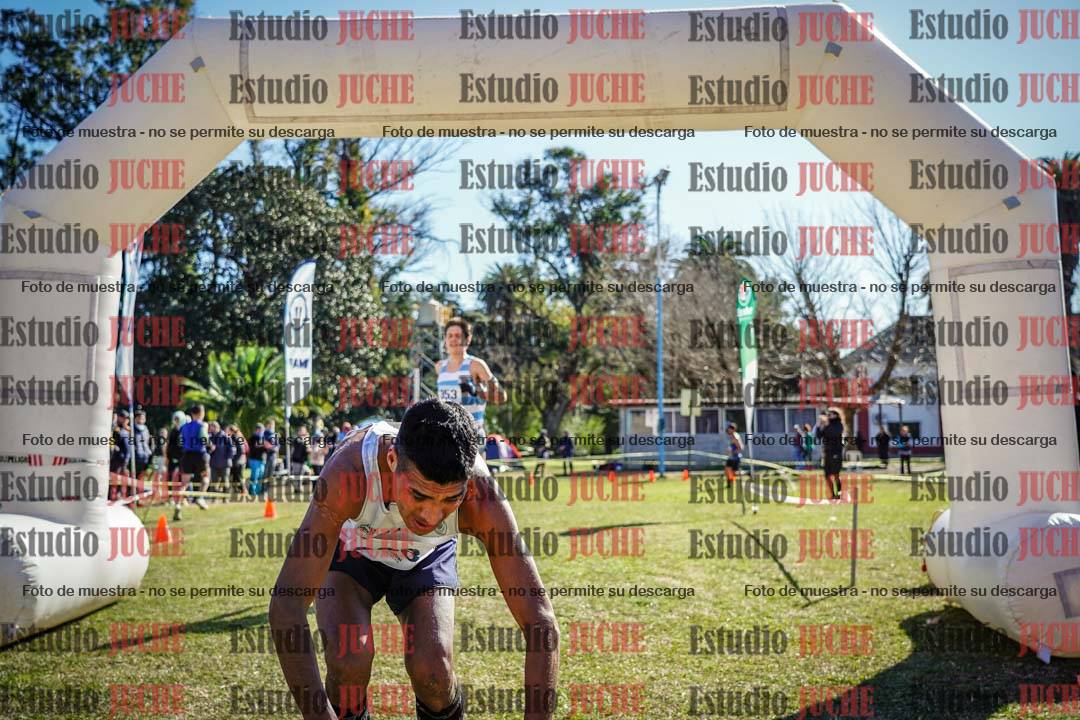 Fotos de la llegada del cross de 8000 m