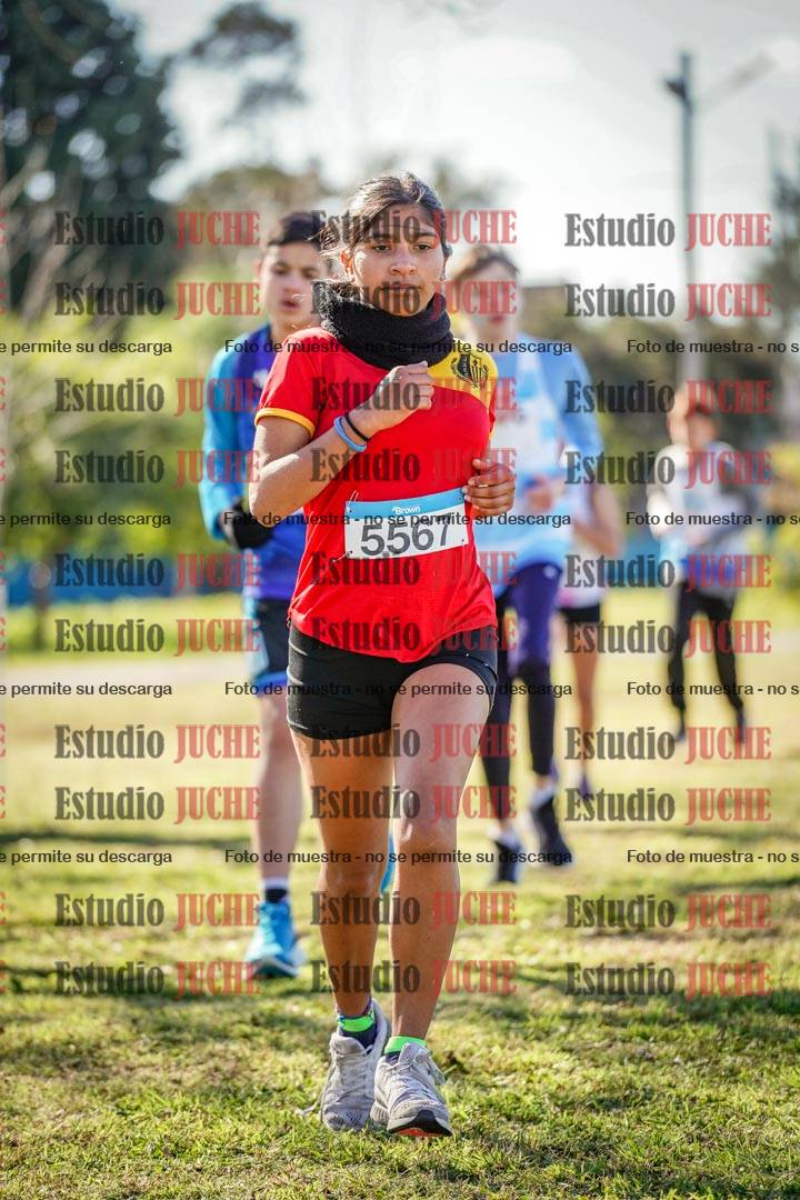Fotos en el circuito