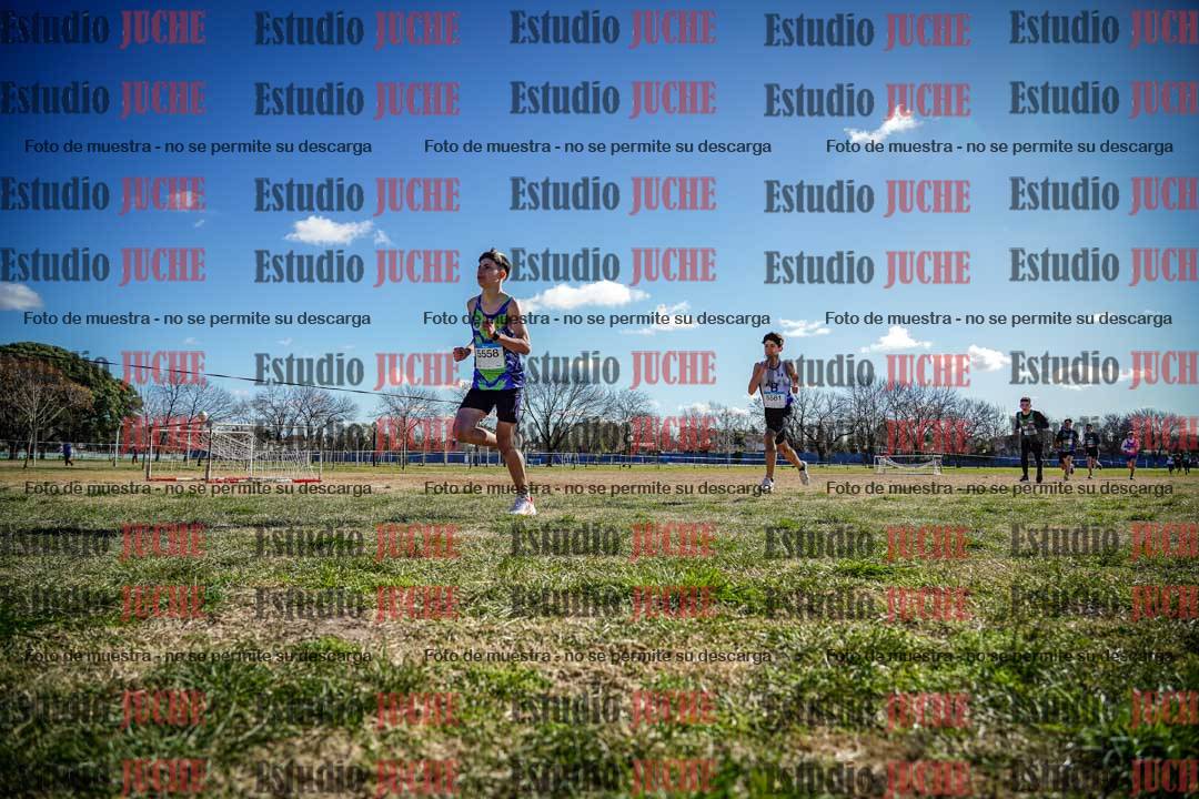 Fotos en el circuito