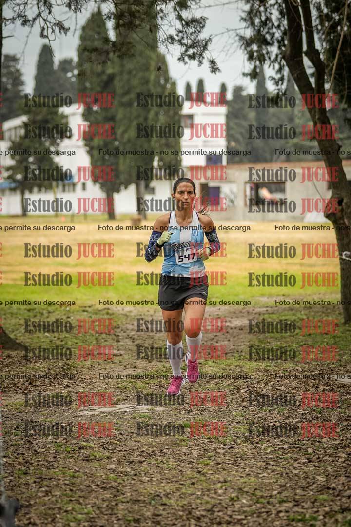 Fotos en el circuito