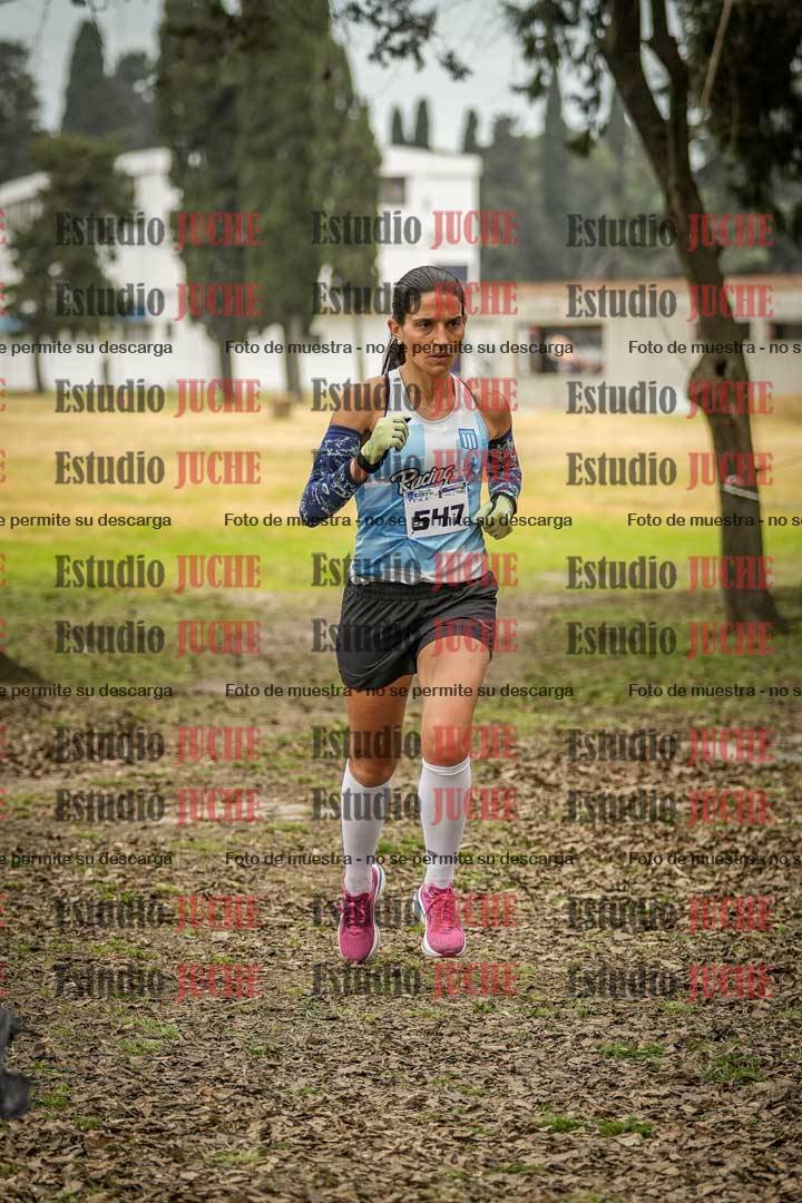 Fotos en el circuito