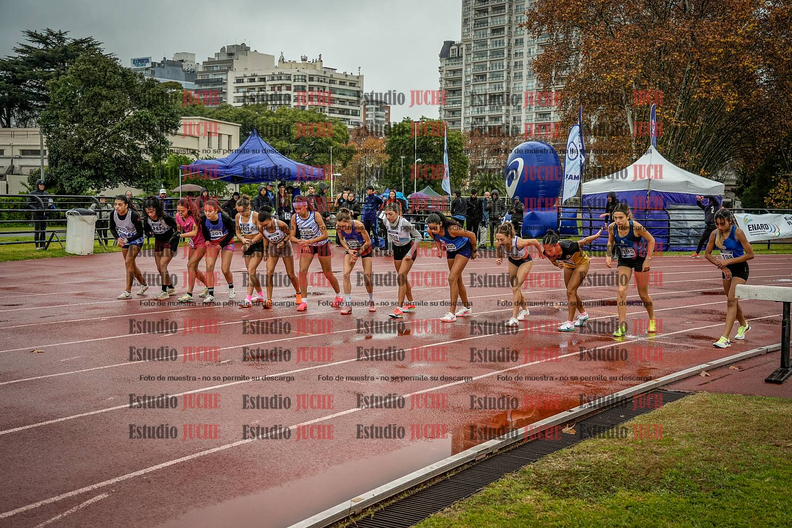 Fotos de los 1500 m llanos de mujeres