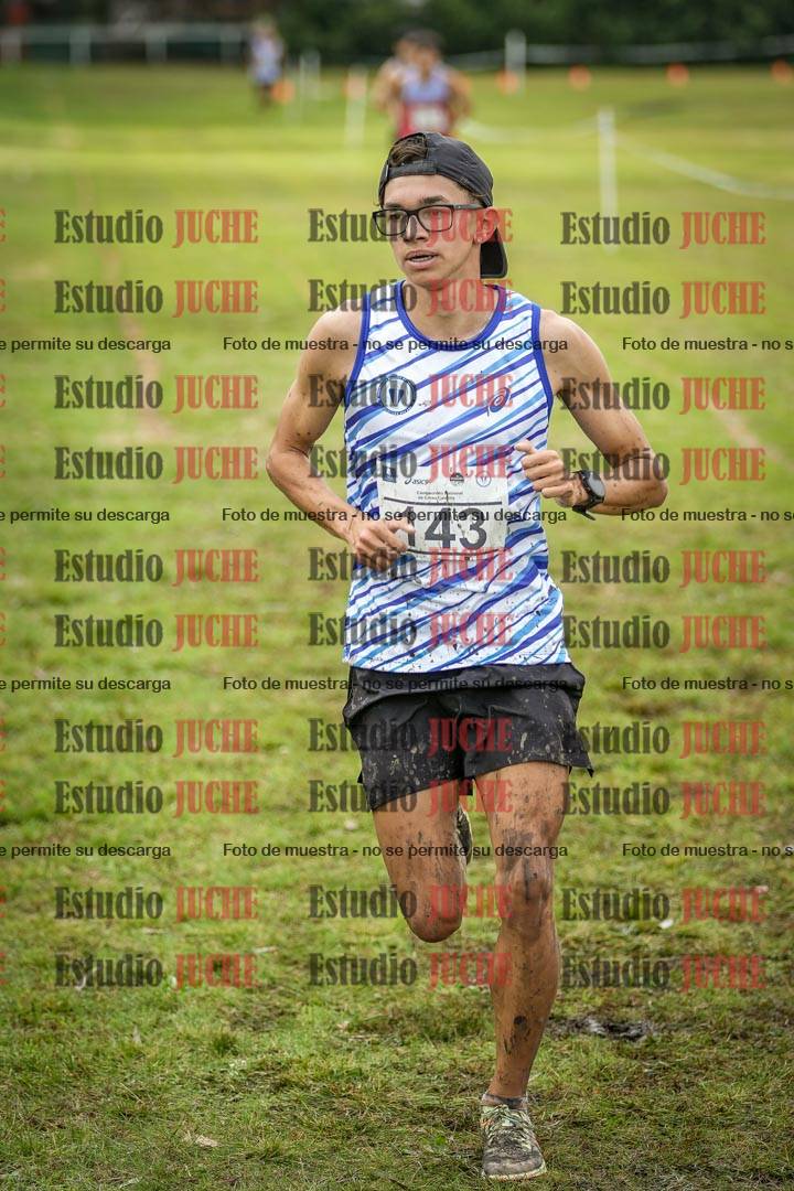 Fotos en el circuito