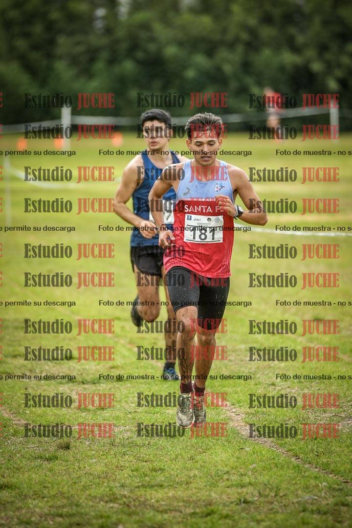 Fotos en el circuito