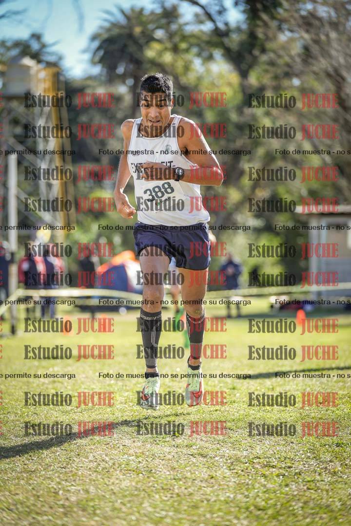 Fotos de la llegada del cross de 8000 m