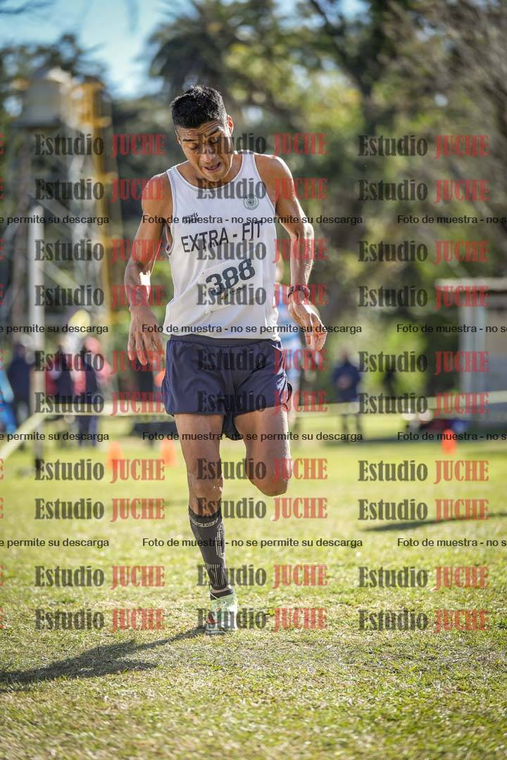 Fotos de la llegada del cross de 8000 m