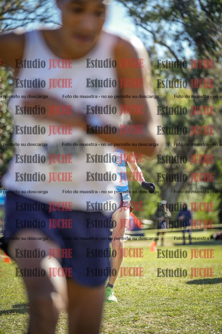 Fotos de la llegada del cross de 8000 m