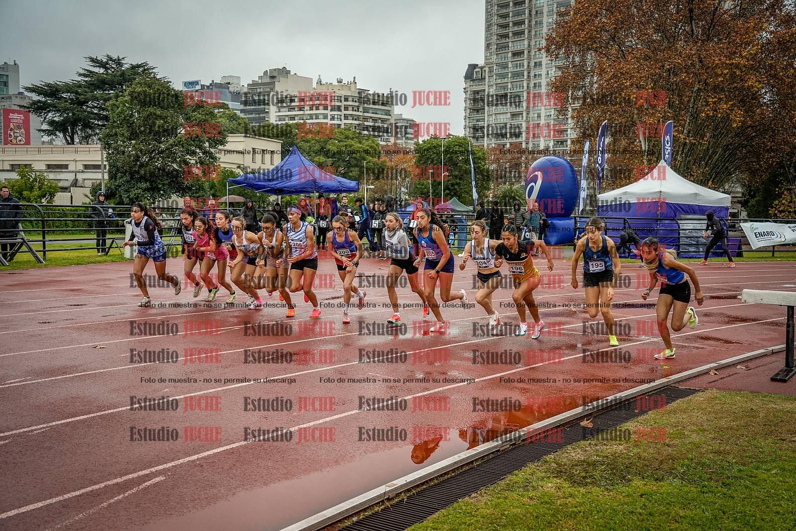 Fotos de los 1500 m llanos de mujeres