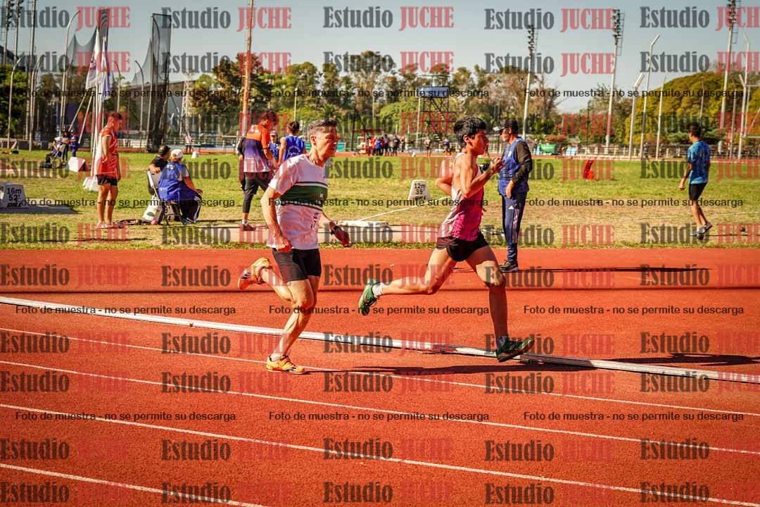 Fotos de los 800 m llanos de varones