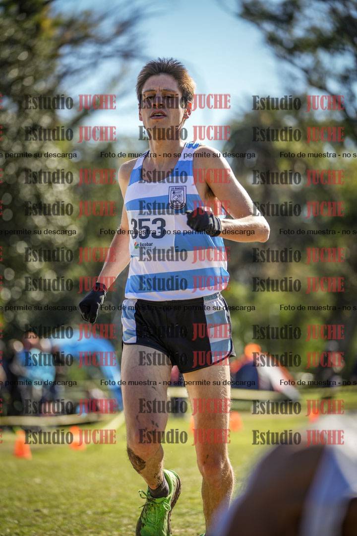 Fotos de la llegada del cross de 8000 m