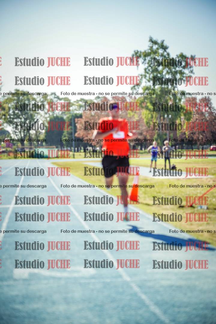 Fotos de las llegadas