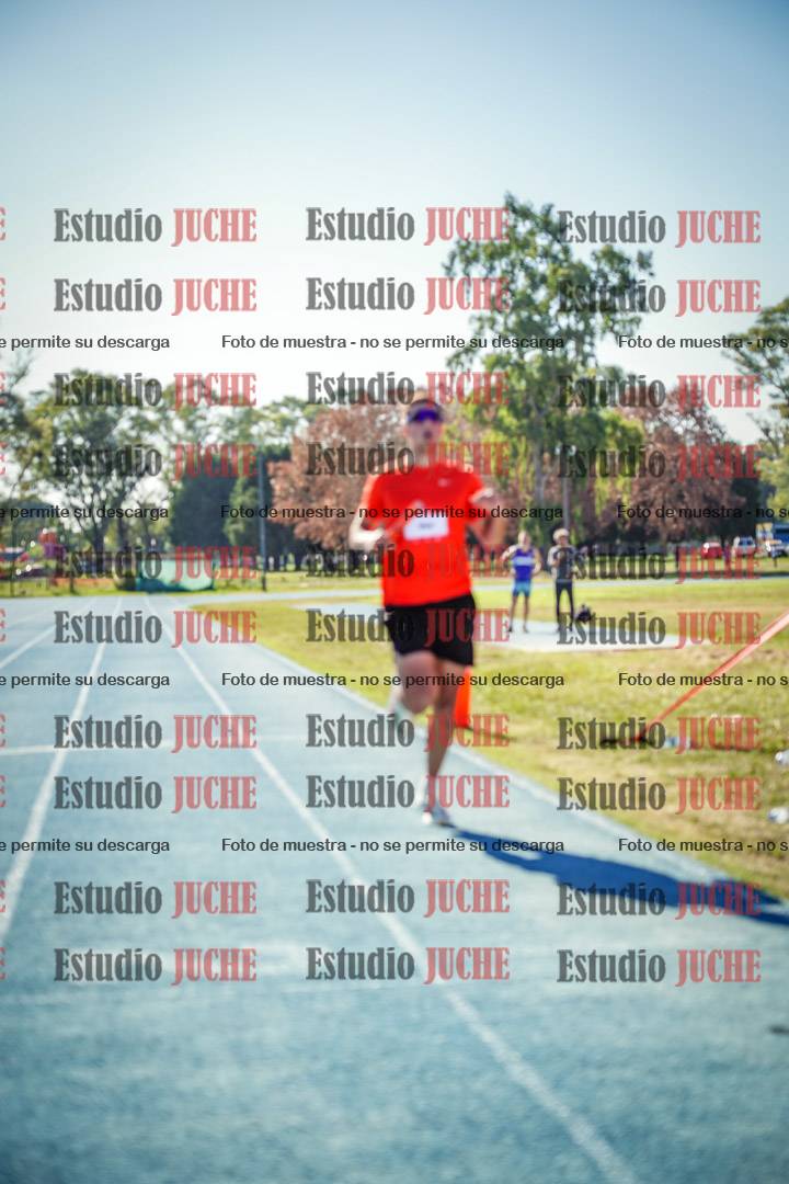 Fotos de las llegadas