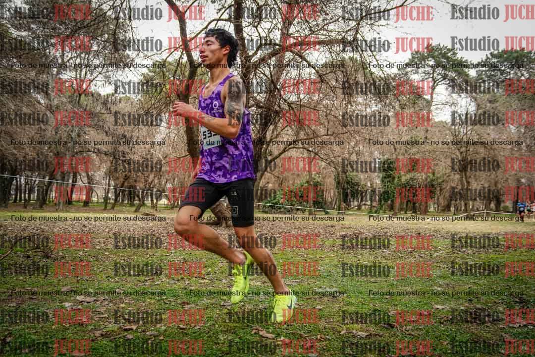 Fotos en el circuito