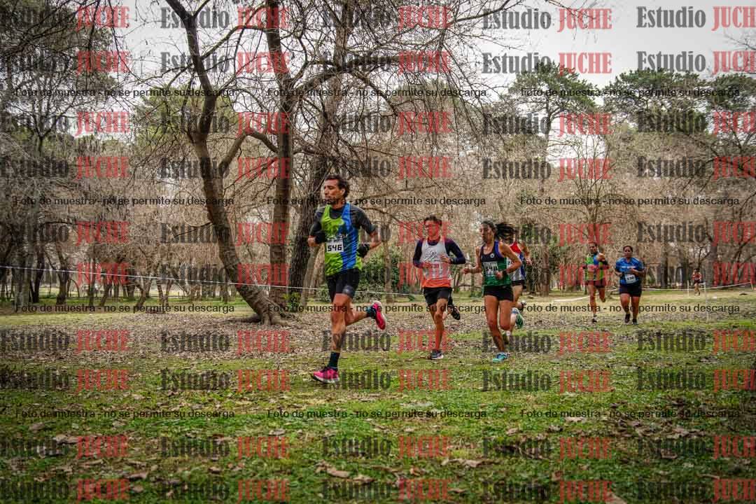 Fotos en el circuito