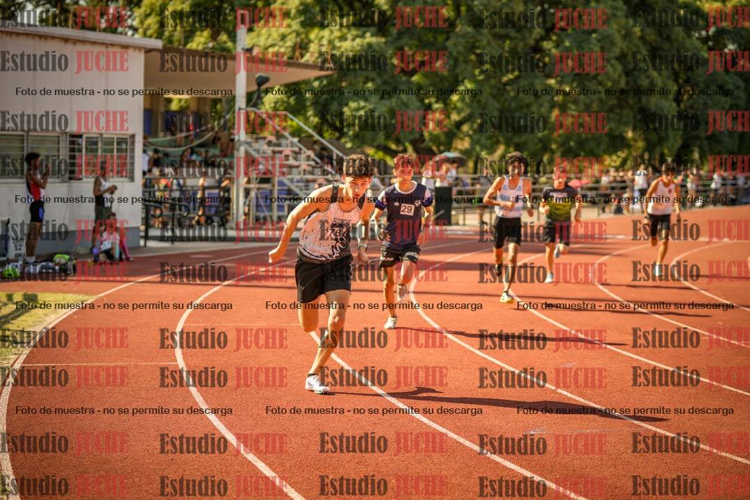 Fotos de los 800 m llanos de varones