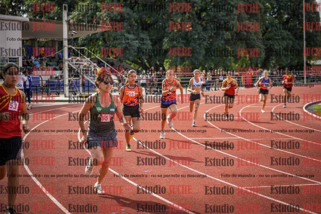 Fotos de los 800 m llanos de mujeres