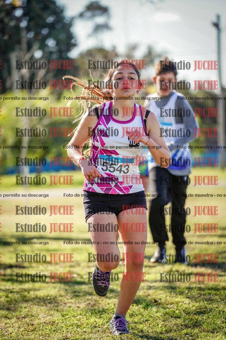 Fotos en el circuito