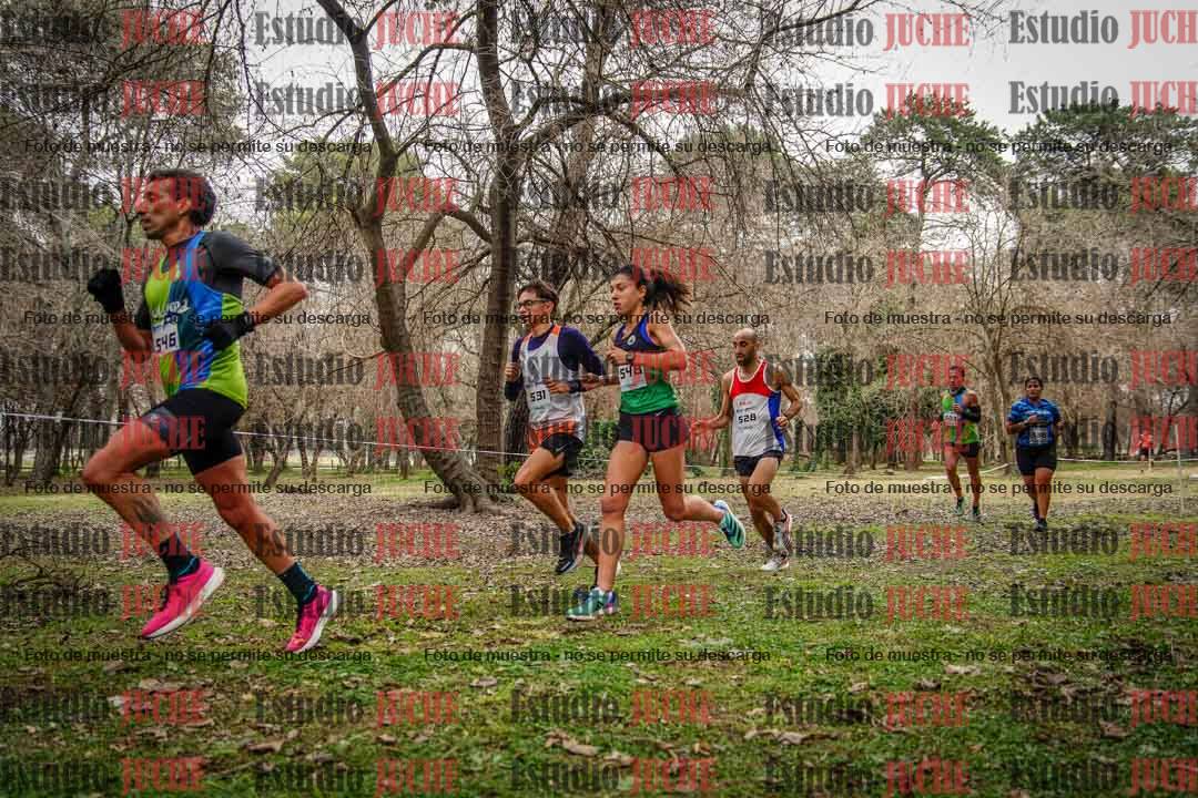 Fotos en el circuito