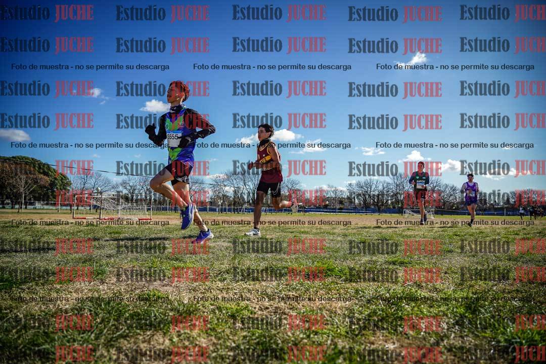 Fotos en el circuito