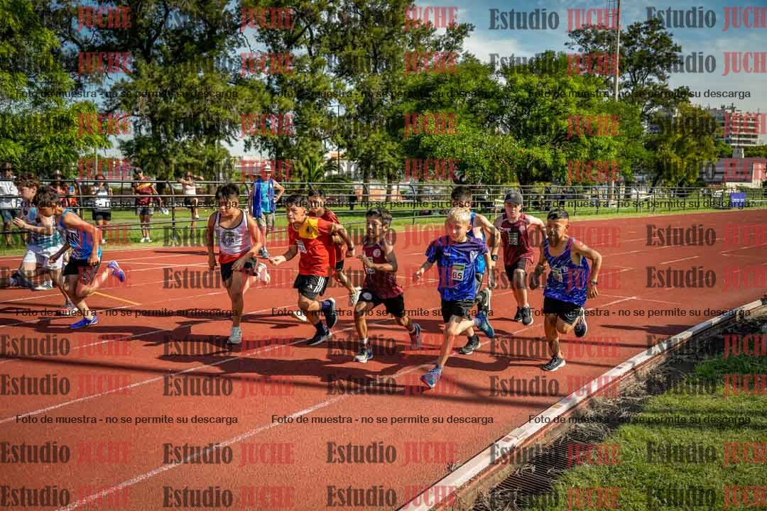 Fotos de los 1000 m llanos de varones