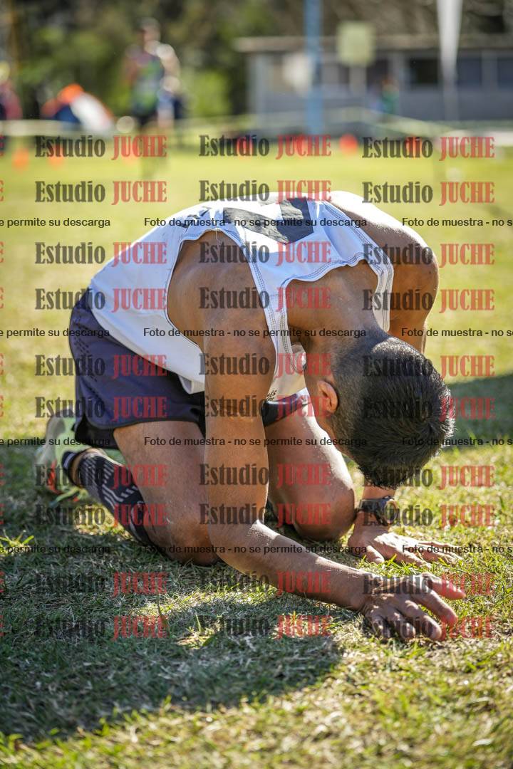 Fotos de la llegada del cross de 8000 m