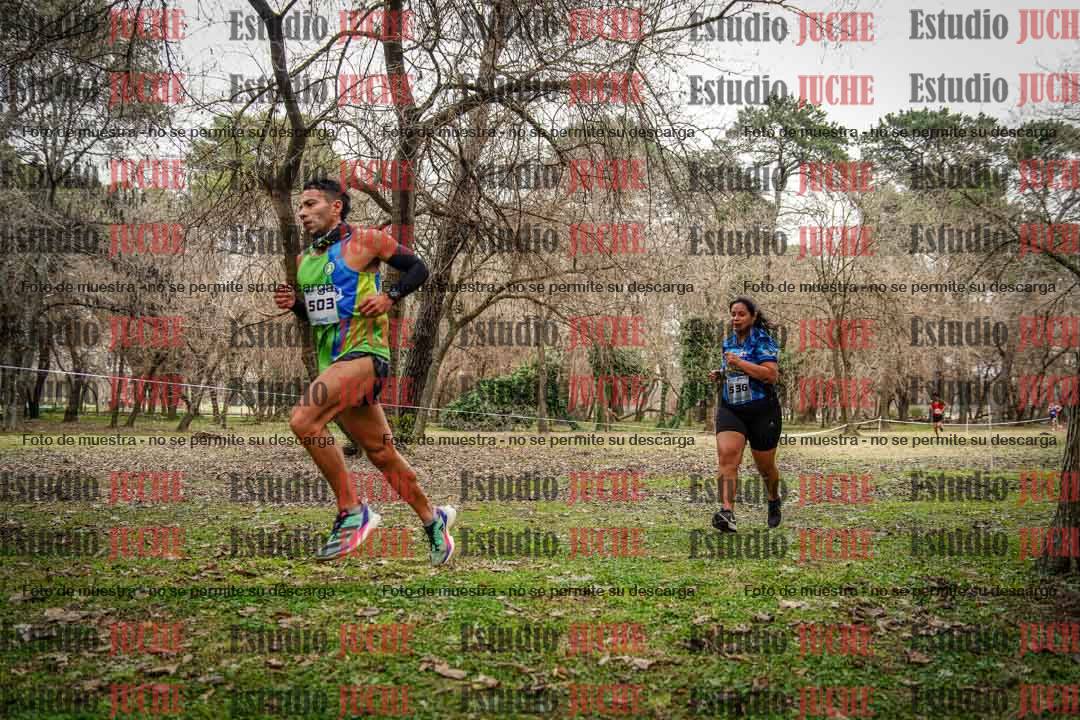 Fotos en el circuito